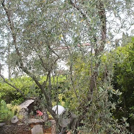 Ivan Apartman Malinska